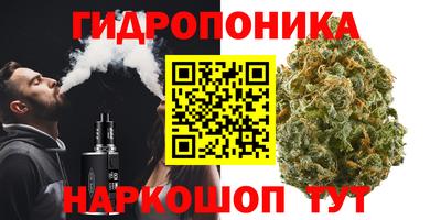 ALPHA PVP Нальчик
