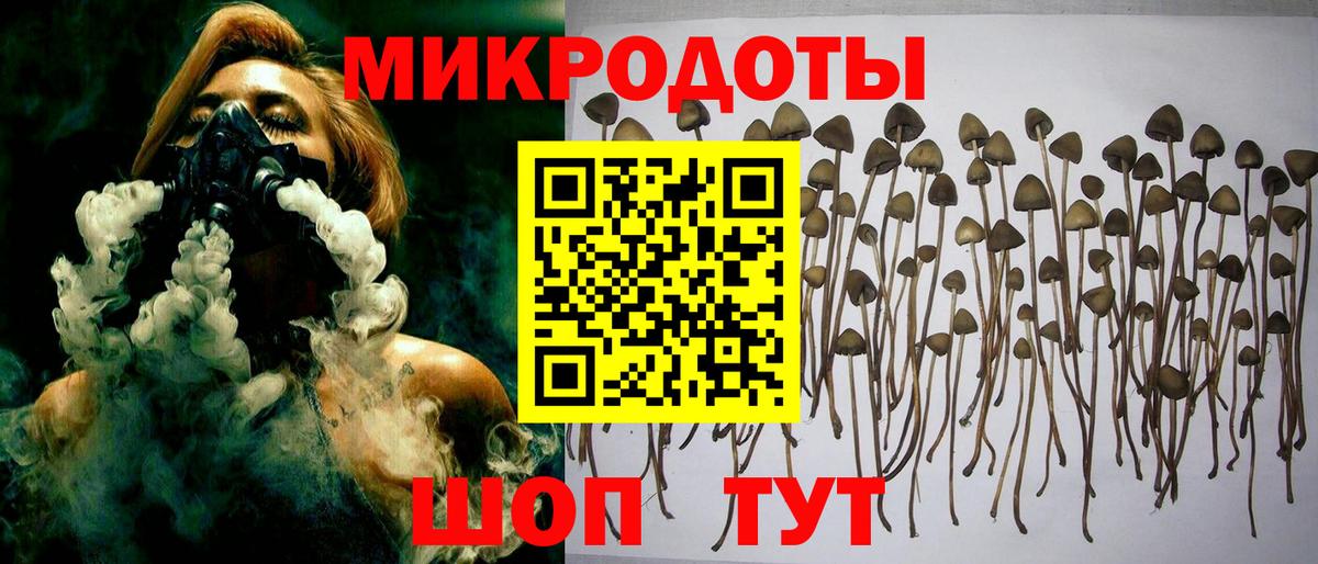 Псилоцибиновые грибы мицелий  Псилоцибиновые грибы Psilocybine cubensis  Вход с VPN  Искитим 